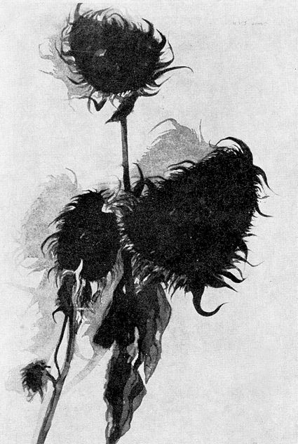 Predrag Goll, akvarelista, Slavonski Brod